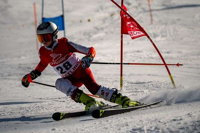 k-20260319_Z9_308_1-2