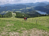 k-20250617_131927