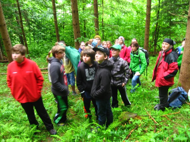 Waldpädagogik Teil 2