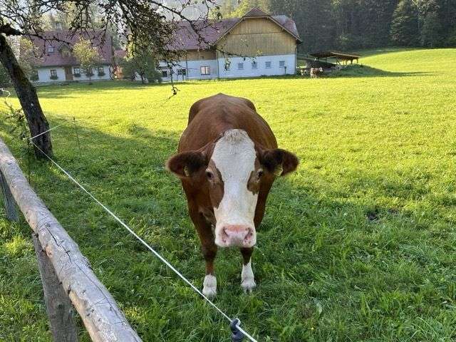 k-Mittel (IMG_4832)