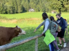 k-Mittel (IMG_4834)