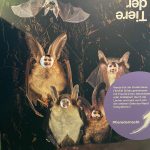 Kinder und Jugendbuch Festival 2025