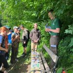 Waldjugendspiele 2026 in Gresten