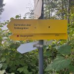 Wandertag 1a Stiegengraben